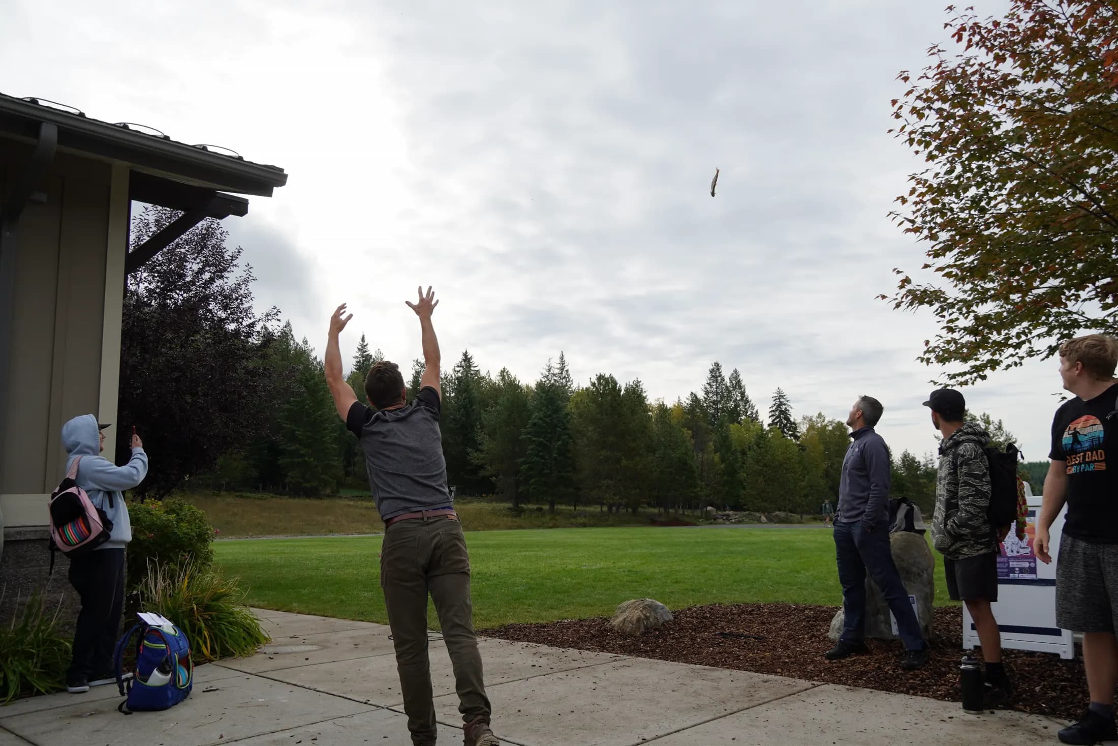 A fish drops from the sky toward a man reaching up as spectators watch.