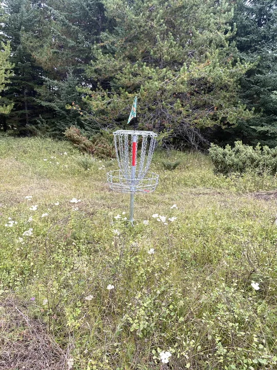A basket in the wildflowers