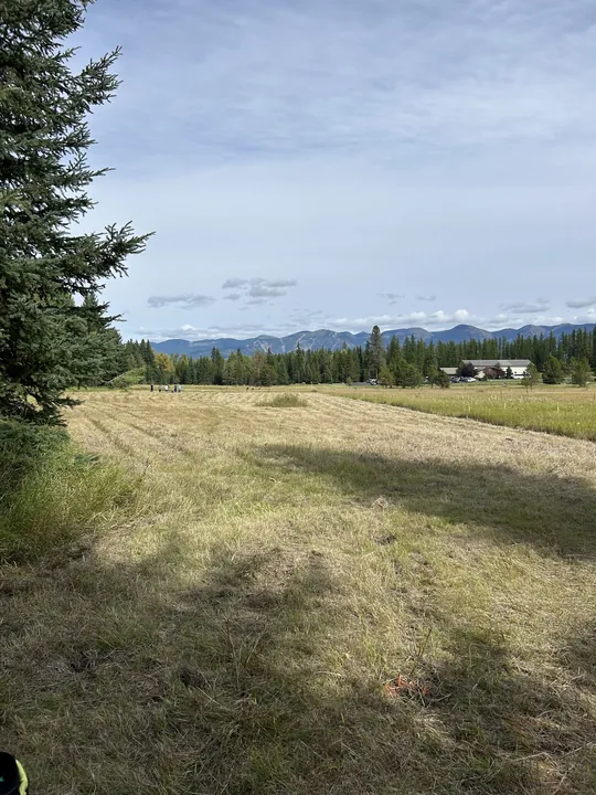 A wide meadow fairway under a big sky