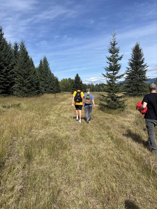 Players crossing a meadow
